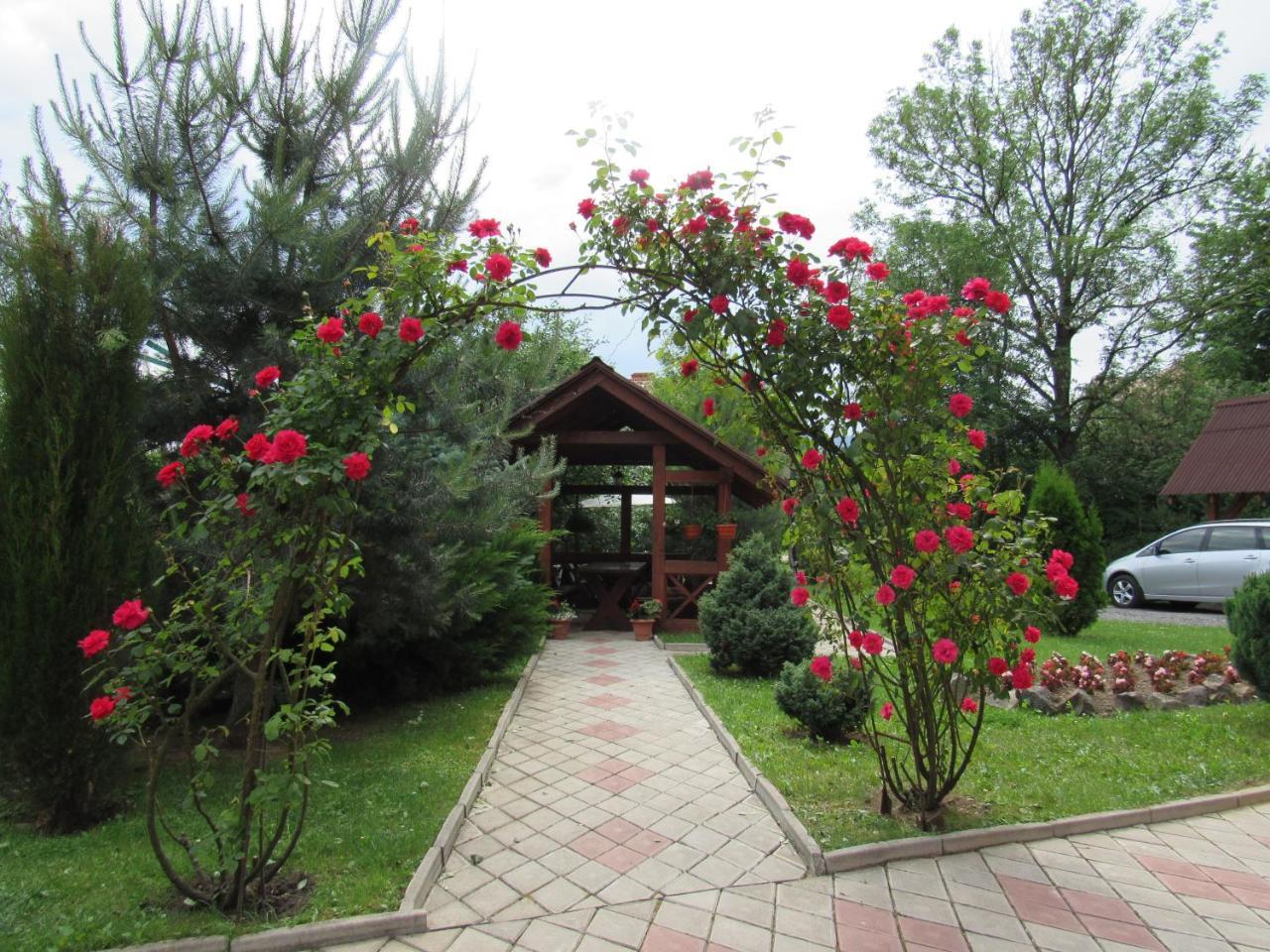 U Neli Solochin Exterior foto